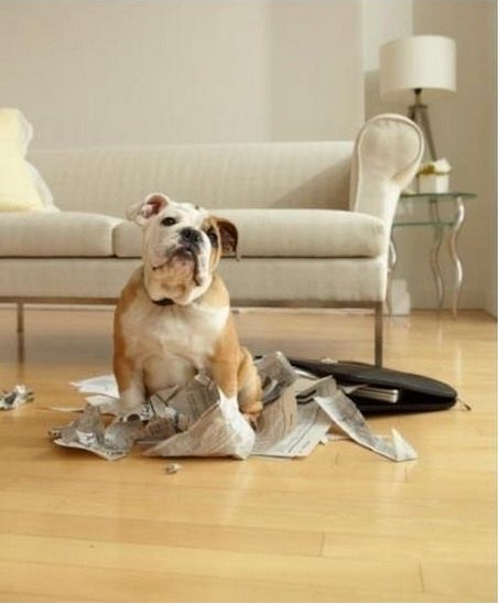 �������а���Ӧ�þ�������һЩ�����ء���Ʒ