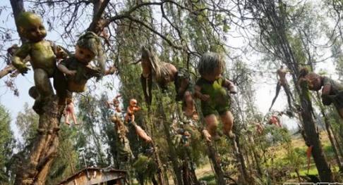 ȫ�����̬��10���ط�������Բ���ȥ��